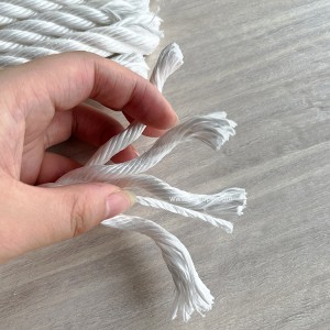 PP Rope (34)